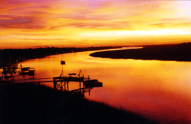 20-IOP GOLD-MAGENTA  SUNSET