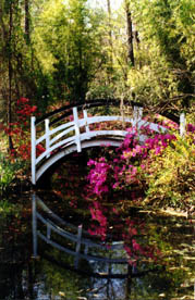 23-MAGNOLIA GARDEN ARCH BRIDGE REFLECTED