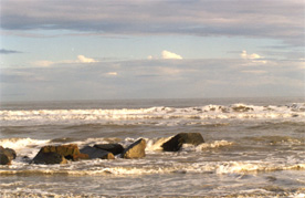 60-BEACH ROCKS AND SURF