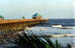 12-FOLLY BEACH PIER & PALMS